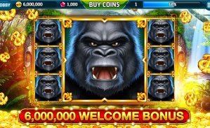 23 bet casino