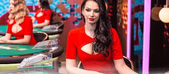 23 bet casino